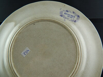 ANTICO PIATTO CERAMICA SARREGUEMINES U&C BRYONIA VIOLA FINE 1800 ART NOUVEAU 934