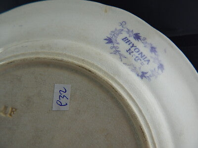 ANTICO PIATTO CERAMICA SARREGUEMINES U&C BRYONIA VIOLA FINE 1800 ART NOUVEAU 932