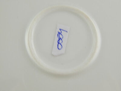 ANTICA CIOTOLA FRUTTIERA PORCELLANA GINORI METÀ 1800 DIPINTA MANO FIORI DI CAMPO