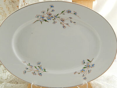 ART NOUVEAU VASSOIO PIATTO OVALE CERAMICA RICHARD GINORI NON TI SCORDAR DI ME