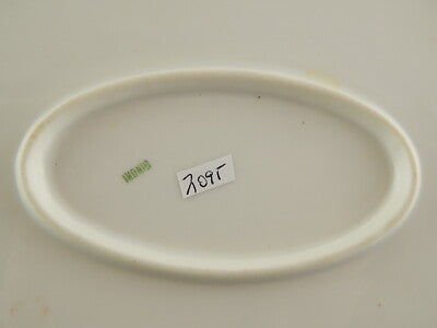 ANTICO PIATTO OVALE VASSOIO PORCELLANA FORMA AMERICA GINORI DOCCIA EPOCA LIBERTY