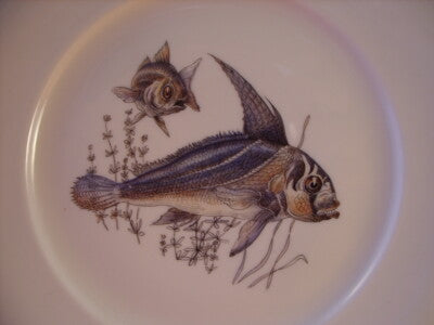 BAVARIA WINTERLING - PIATTO IN PORCELLANA SERIE PESCI #6
