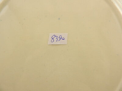 ANTIQUARIATO PIATTO CERAMICA MONDOVÌ FINE 1800 COLLEZIONE DECORO A MANO