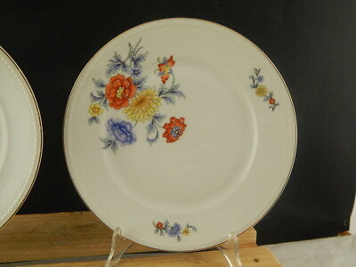 ANTICO SERVIZIO 6 PIATTI PIANI PORCELLANA FREIBERG BAVARIA BOUQUET FIORI ESTIVI