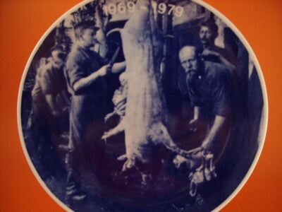 PIATTO IN PORCELLANA DI COPENHAGEN 1969-1979