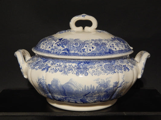 VINTAGE ZUPPIERA CENTROTAVOLA PORCELLANA VILLEROY&BOCH METTLACH SAAR BURGENLAND