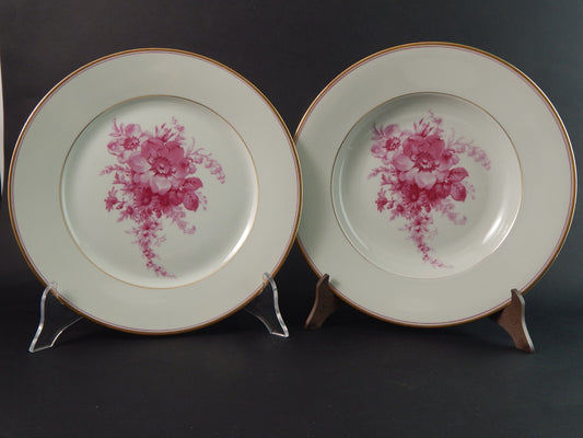 ANTICO SERVIZIO 8 PIATTI PORCELLANA JOHANN HAVILAND BAVARIA DECORO SAVONA