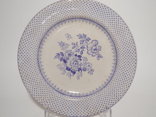ANTICO PIATTO CERAMICA STAFFORDSHIRE PRIMAVESI DEL 1860 ERMINE BORDER VIOLA ###