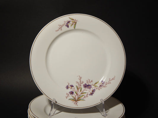 ANTICO HAVILAND LIMOGES SERVIZIO 6 PIATTI TAVOLA PORCELLANA FINE 800 ART NOUVEAU