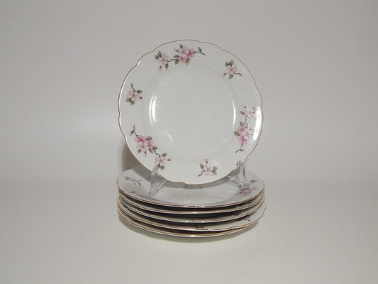 VINTAGE SERVIZIO 6 PIATTI DESSERT PORCELLANA SELTMANN WEIDEN BAVARIA FIORI PESCO