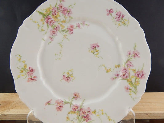 ANTICO PIATTO DIPINTO PORCELLANA LIMOGES THEODOR HAVILAND FINE 1800 DIFETTO 2099