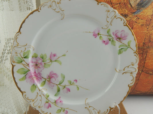 ANTICO PIATTO PORCELLANA ART NOUVEAU ROYAL COPENHAGEN TIFFANY ROSA CANINA DIPINT