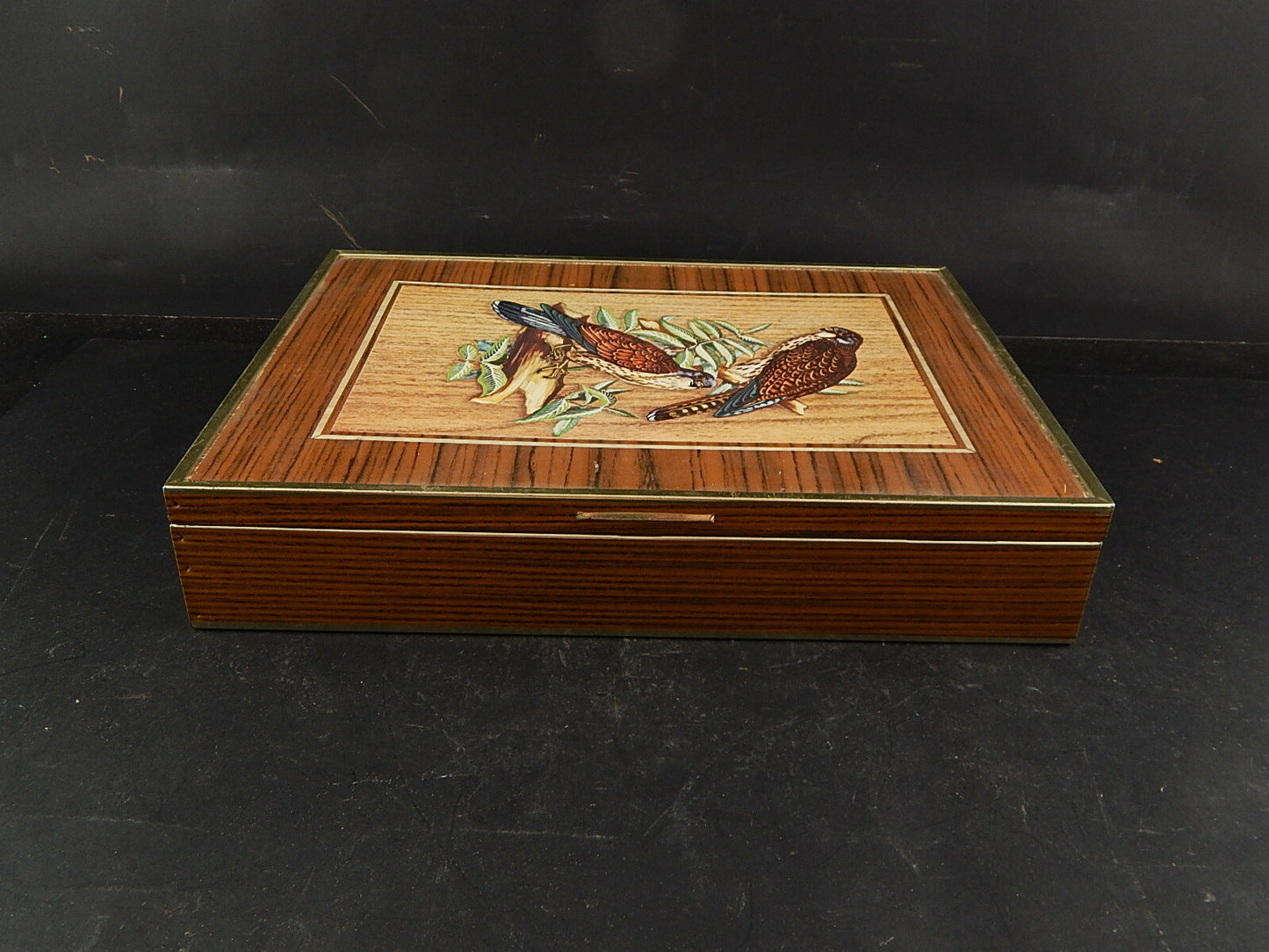 COLLEZIONE VINTAGE SCATOLA LATTA BISCOTTI GENERAL BISCUIT COMPANY UCCELLI
