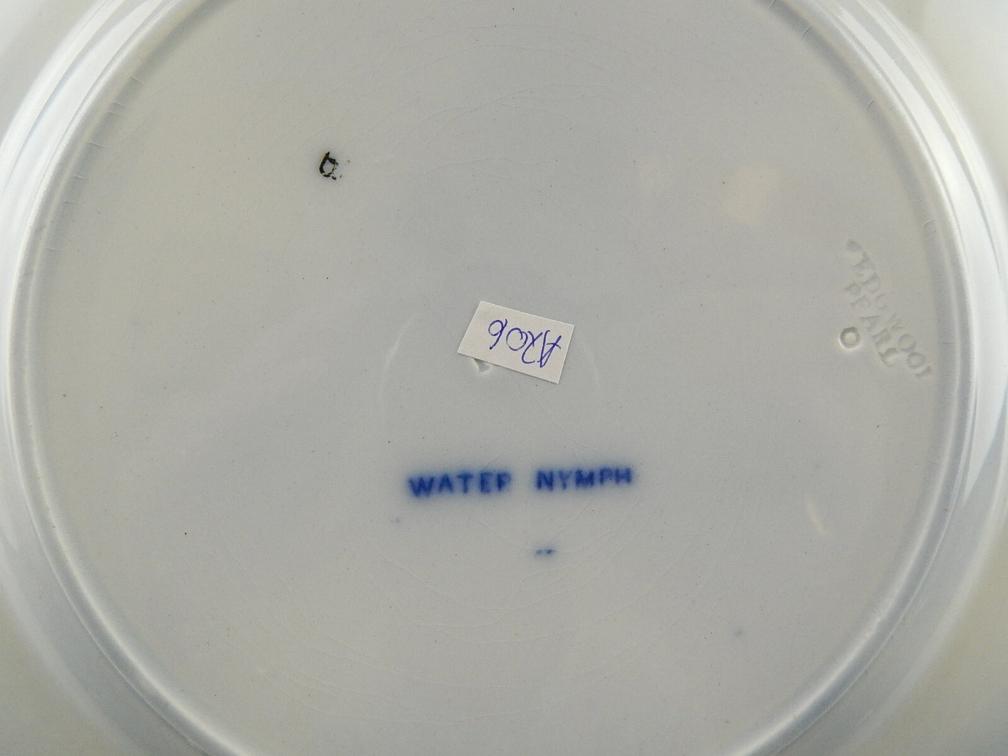 ANTICO RARO PIATTO PORCELLANA WEDGWOOD WATER NYMPH DIPINTO MANO FINE '800 A706