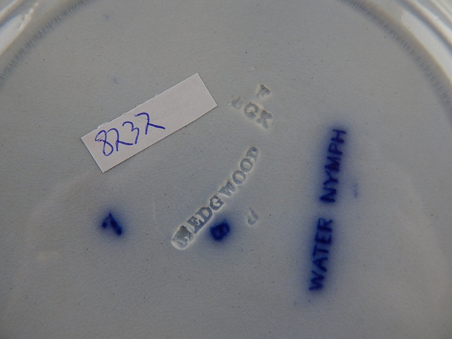 ANTICO RARO PIATTO PORCELLANA WEDGWOOD WATER NYMPH DIPINTO MANO FINE '800 #8737