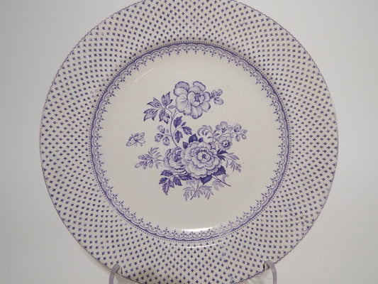 ANTICO PIATTO CERAMICA STAFFORDSHIRE PRIMAVESI DEL 1860 ERMINE BORDER VIOLA ####