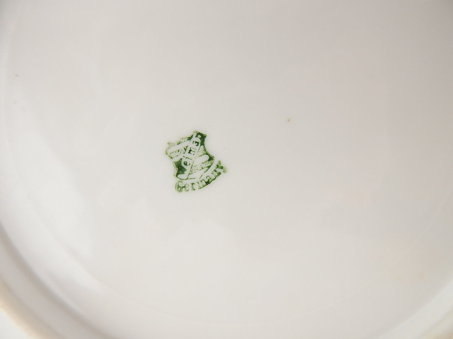 ANTICO RARO PIATTO PORCELLANA INIZIO 1900 MANIFATTURA WEIMAR COLLEZIONE FRUTTI