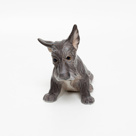 RARA STATUINA PORCELLANA DAHL JENSEN COPENHAGEN "Scottish Terrier" 1078 15x19x10
