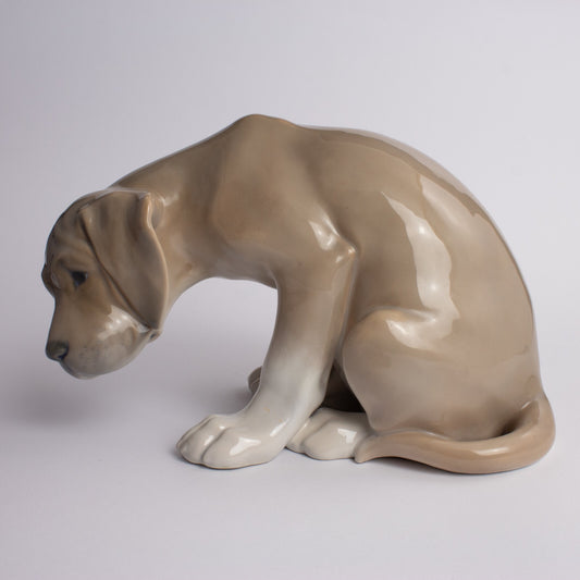 RARA STATUINA PORCELLANA ROYAL COPENHAGEN "Cucciolo di Labrador Bob" RESTAURATA