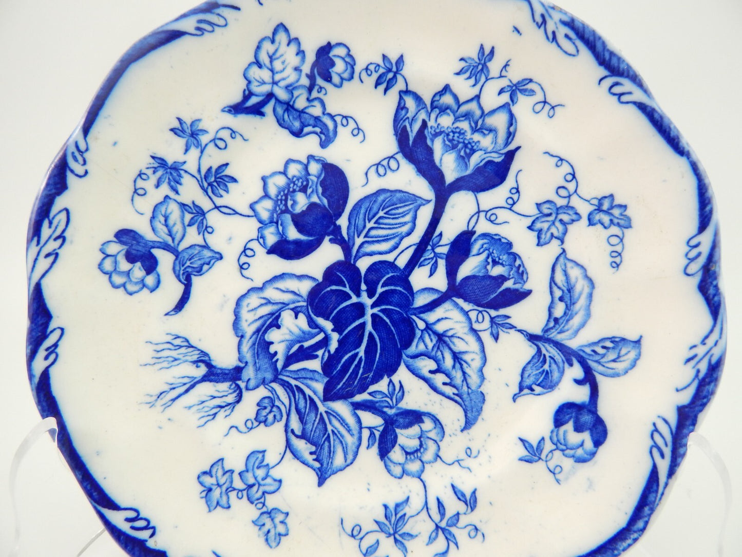 1431 ANTICO PIATTO CERAMICA GIUSEPPE BESIO MONDOVI' SECONDA META' 800 NINFEE