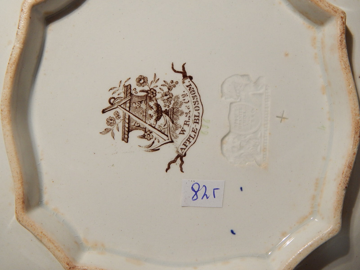 ANTICA 1850 FRUTTIERA CENTROTAVOLA SEMI PORCELLANA RIDGWAY &C. APPLE BLOSSOM