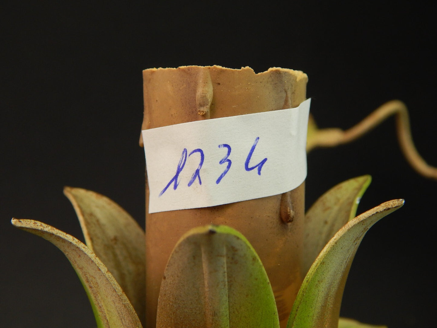 APPLIQUE DUE FUOCHI ANTICA LIBERTY FERRO BATTUTO E ROSE CERAMICA POLICROME