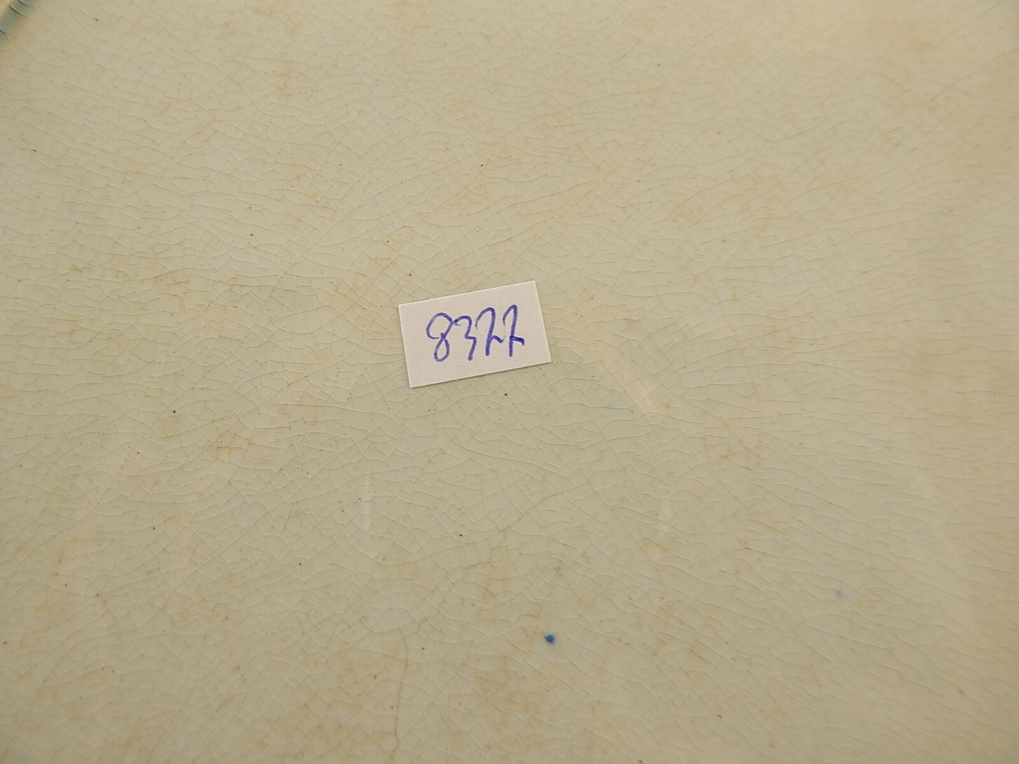 ANTICO RARISSIMO PIATTO INGLESE CERAMICA 1837-50 POUNTNEY & GOLDNEY DROMEDARIO