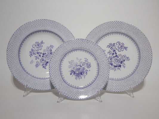 ANTICO SET 18 PIATTI CERAMICA STAFFORDSHIRE PRIMAVESI 1860 ERMINE BORDER VIOLA