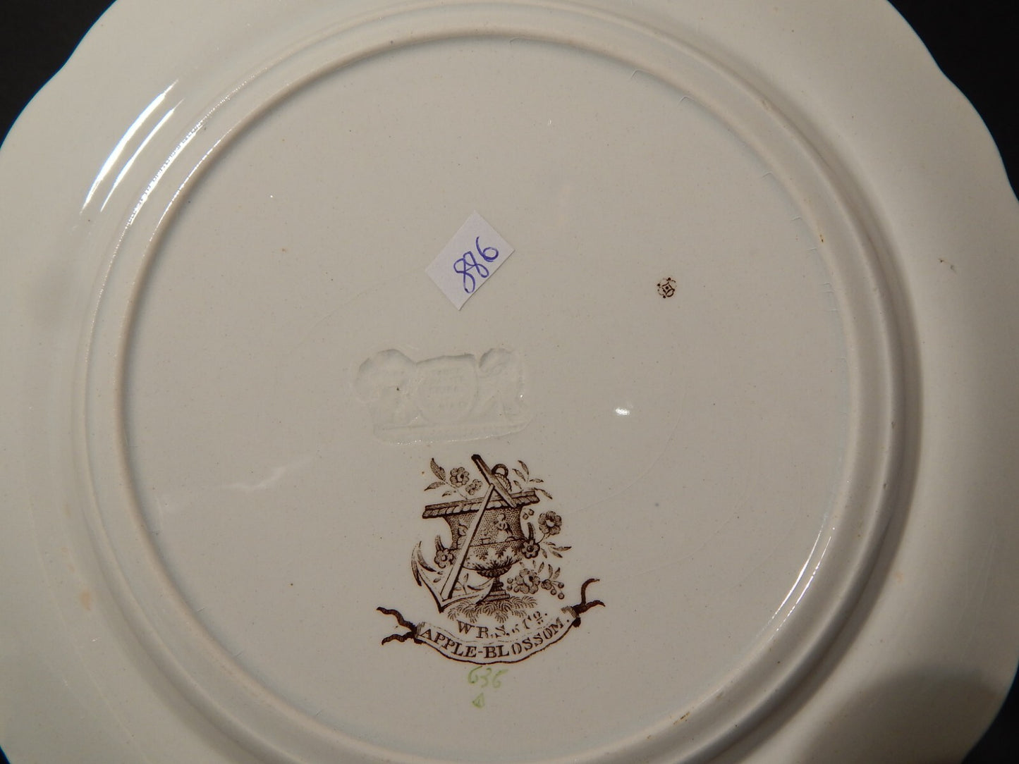 ANTICO 1850 PIATTO PIANO SEMI PORCELLANA INGLESE RIDGWAY &C. APPLE BLOSSOM #886