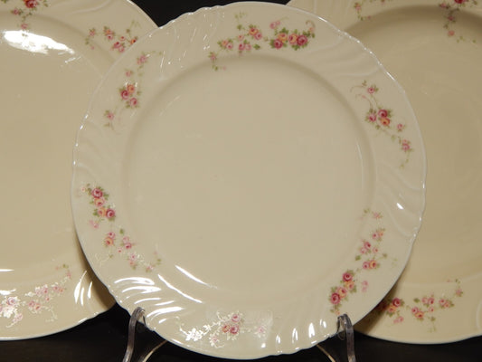 ANTICO SERVIZIO 12 PIATTI PREZIOSA PORCELLANA ROSENTHAL THOMAS IVORY BAVARIA