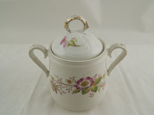 ANTICA RARA ZUCCHERIERA POTICHE CERAMICA MAIOLICA ROSA CANINA HANDMADE ITALY