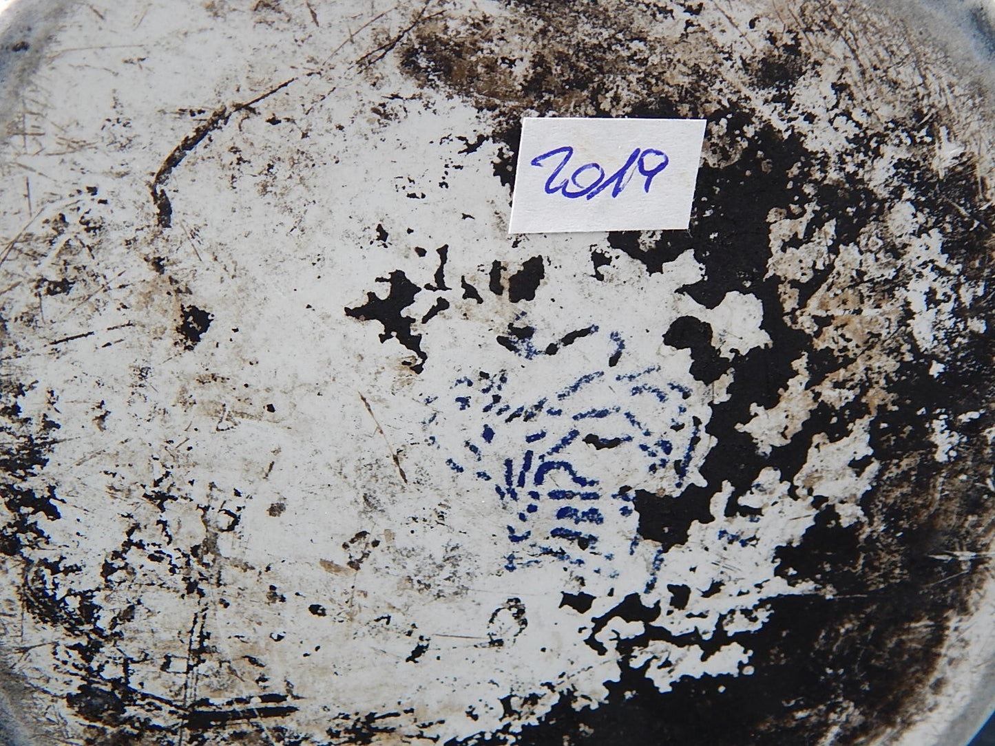 ANTICA CAFFETTIERA LATTA SMALTATA PORCELLANATA BIANCA DUE LEONI BASSANO