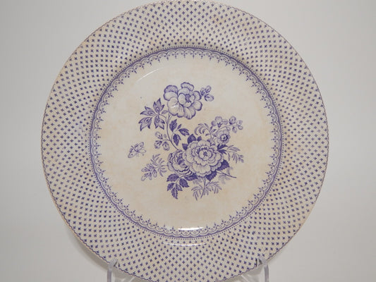 ANTICO PIATTO CERAMICA STAFFORDSHIRE PRIMAVESI DEL 1860 ERMINE BORDER VIOLA ##
