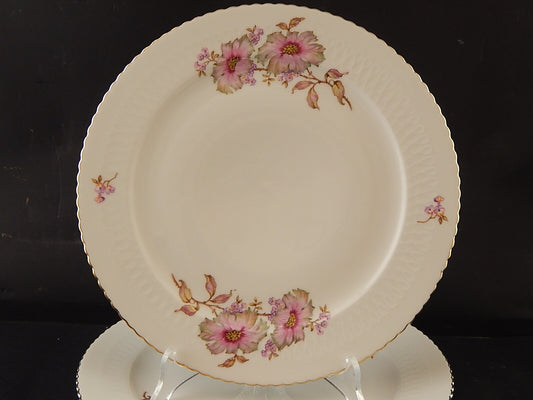 ANTICO RARO SERVIZIO 6 PIATTI PIANI PORCELLANA SELTMANN WEIDEN BAVARIA ELISABETH