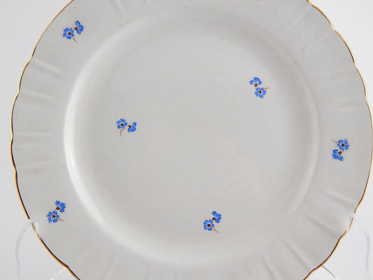 ANTICO PIATTO PORTATA PORCELLANA SOCIETA' CERAMICA RICHARD MILANO SAN CRISTOFORO