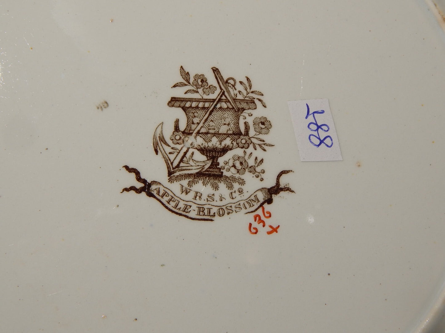 ANTICO 1850 PIATTO PIANO SEMI PORCELLANA INGLESE RIDGWAY &C. APPLE BLOSSOM #885