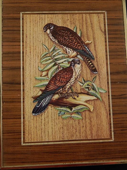 COLLEZIONE VINTAGE SCATOLA LATTA BISCOTTI GENERAL BISCUIT COMPANY UCCELLI