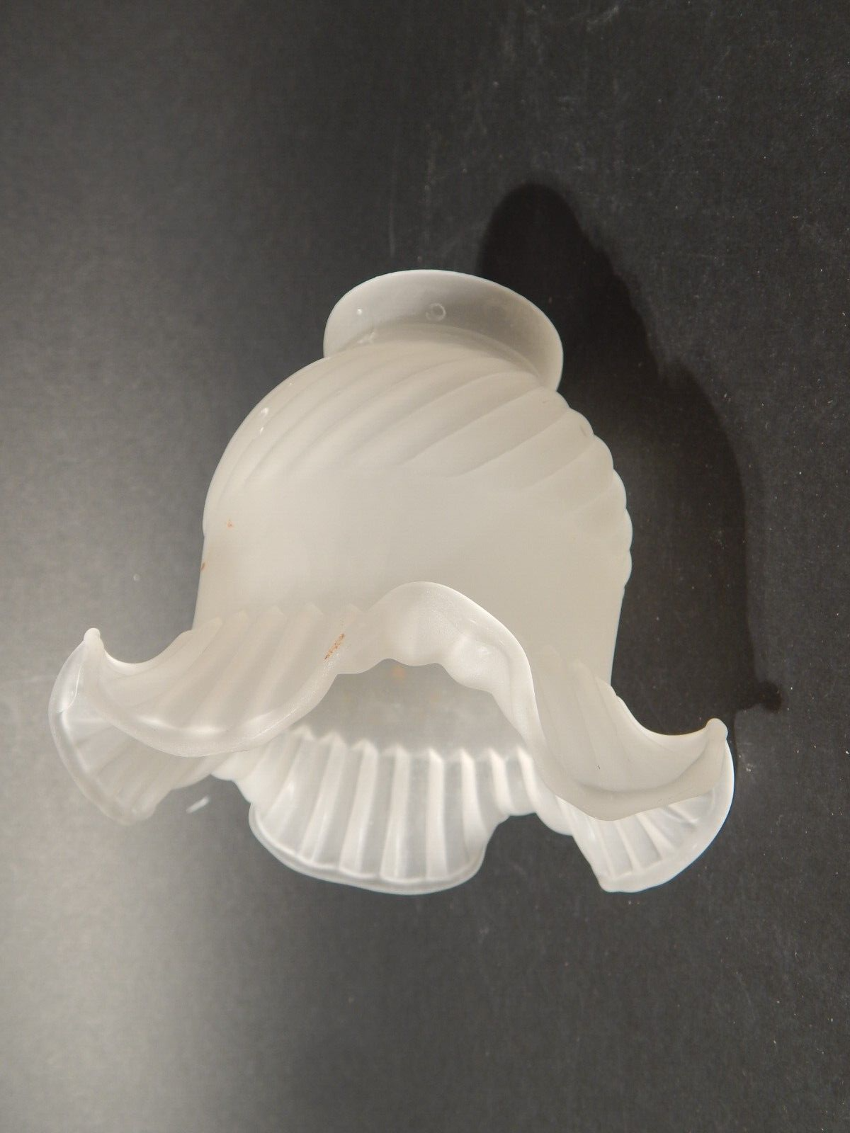 ANTICO LIBERTY TULIP PARALUME IN VETRO SATINATO PER APPLIQUE O LAMPADA B1057