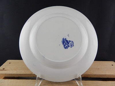 ANTICO RARO PIATTO PORCELLANA MINTON DEL1830 STAFFORDSHIRE DECORO ANEMONE #1894