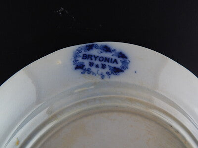 ANTICO PIATTO PIANO VILLEROY&BOCH BRYONIA PORCELLANA ART NOUVEAU 800 #11