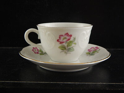 VINTAGE ELEGANTE SET 6 TAZZINE CAFFÈ PORCELLANA RICHARD GINORI ROSA CANINA