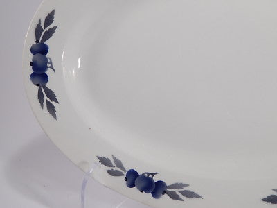 ANTICO RARO PIATTO OVALE PORCELLANA VILLEROY&BOCH METTLACH FINE 1800 SHABBY CHIC