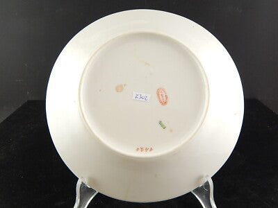 ANTICO PIATTO PORCELLANA RICHARD GINORI DIPINTO MANO FARFALLA UCCELLINO DIFETTO#