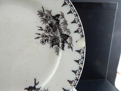 ANTICO PIATTO CERAMICA SARREGUEMINES U&C COLLEZIONE FLORE 1800 ART NOUVEAU #1330