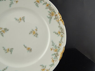 ANTICO PIATTO PIANO PORCELLANA FORMA AMERICA GINORI DOCCIA EPOCA LIBERTY