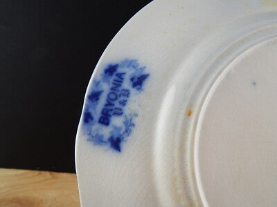 ANTICO PIATTO DESSERT VILLEROY&BOCH BRYONIA PORCELLANA ART NOUVEAU 800 #10