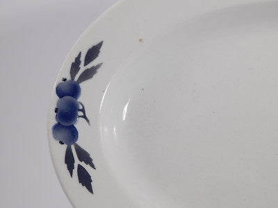 ANTICO PIATTO OVALE RAVIERA PORCELLANA CERAMICA VILLEROY&BOCH METTLACH FINE 1800