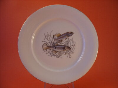 BAVARIA WINTERLING - PIATTO IN PORCELLANA SERIE PESCI #1