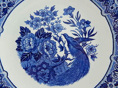 PIATTO DA COLLEZIONE PORCELLANA CERAMICA 1960 DELFTS ROYAL SPHINX MAASTRICHT