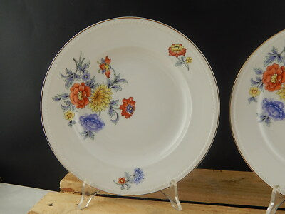 ANTICO SERVIZIO 6 PIATTI PIANI PORCELLANA FREIBERG BAVARIA BOUQUET FIORI ESTIVI